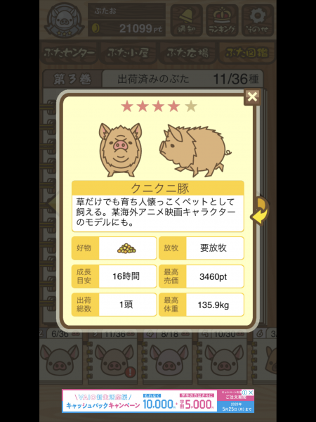 クニクニ豚