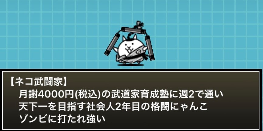 ねこ武闘家