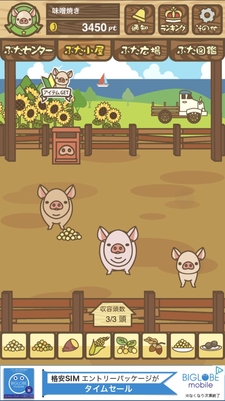 餌やり