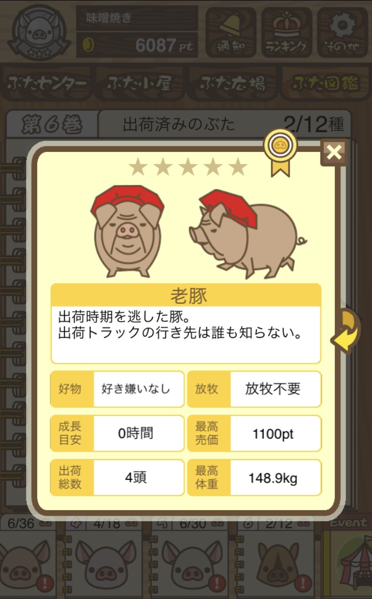 老豚
