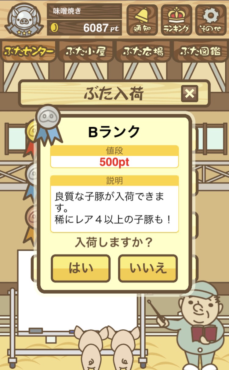 Bランク