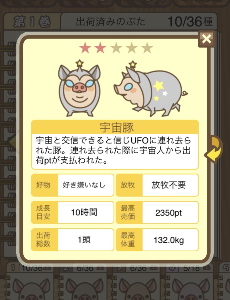 宇宙豚