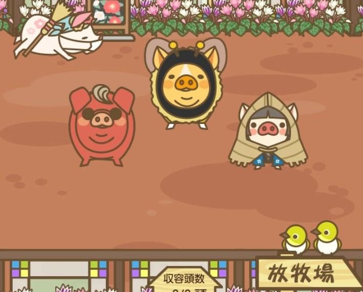 ハニーブー