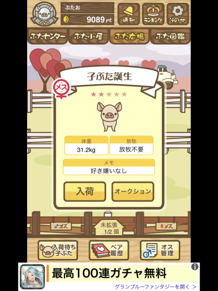子ぶた誕生