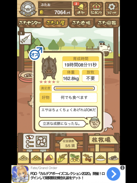 高重量の豚？