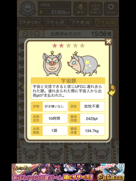 宇宙豚
