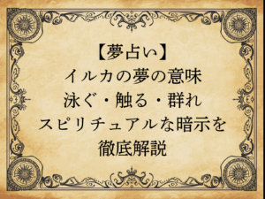 【夢占い】イルカの夢の意味｜泳ぐ・触る・群れ…スピリチュアルな暗示を徹底解説