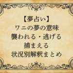 【夢占い】ワニの夢の意味｜襲われる・逃げる・捕まえる…状況別解釈まとめ