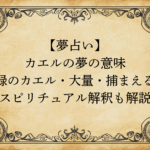 【夢占い】カエルの夢の意味|緑のカエル・大量・捕まえる…スピリチュアル解釈も解説