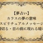 【夢占い】カラスの夢の意味｜スピリチュアルメッセージ・横切る・目の前に現れる暗示