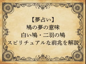 【夢占い】鳩の夢の意味｜白い鳩・二羽の鳩・スピリチュアルな前兆を解説