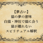 【夢占い】猫の夢の意味｜白猫・神社で猫に会う・猫が離れないスピリチュアル解釈
